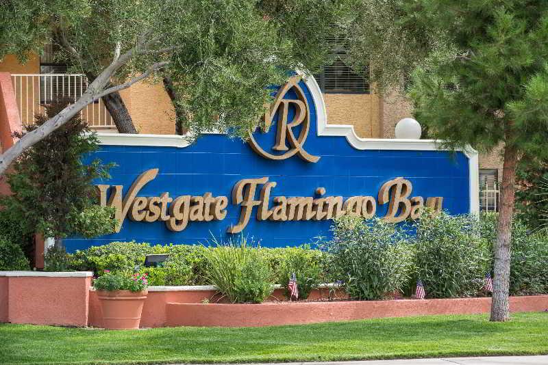 Westgate Flamingo Bay Resort Las Vegas Eksteriør bilde